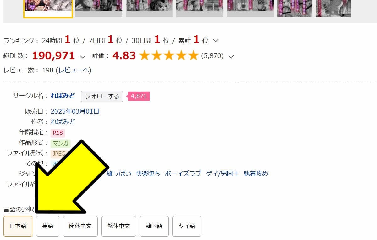 DLsite がるまに パソコン 購入方法 ②
